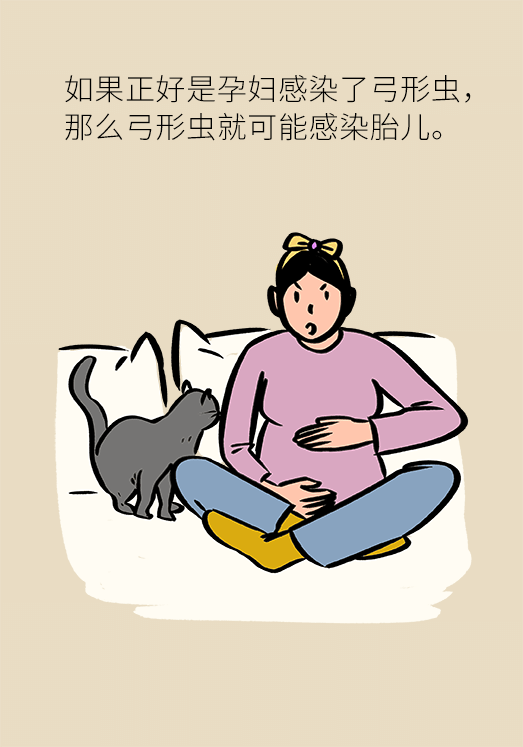 懷孕了不能養(yǎng)貓狗？別再信這些謠言了