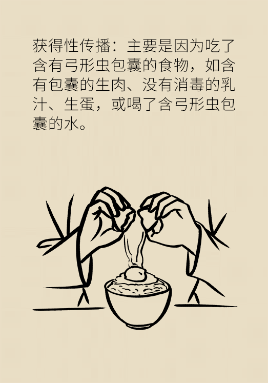 懷孕了不能養(yǎng)貓狗？別再信這些謠言了