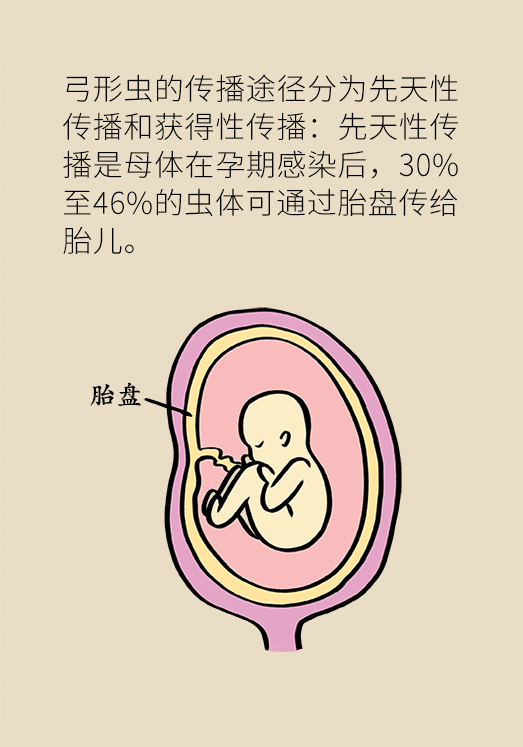 懷孕了不能養(yǎng)貓狗？別再信這些謠言了