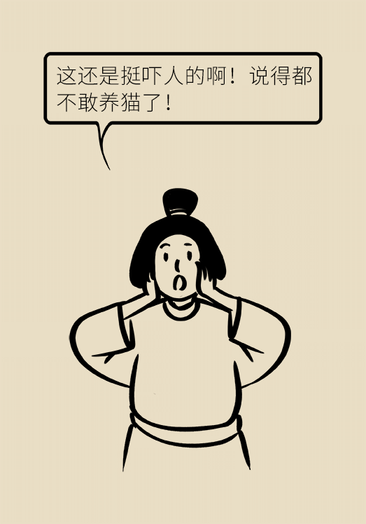 懷孕了不能養(yǎng)貓狗？別再信這些謠言了