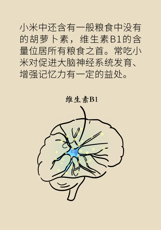 小米黃豆豬蹄怎么做才健康？