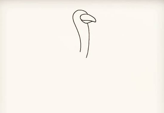 鴕鳥簡(jiǎn)筆畫彩色可愛(ài)步驟圖解