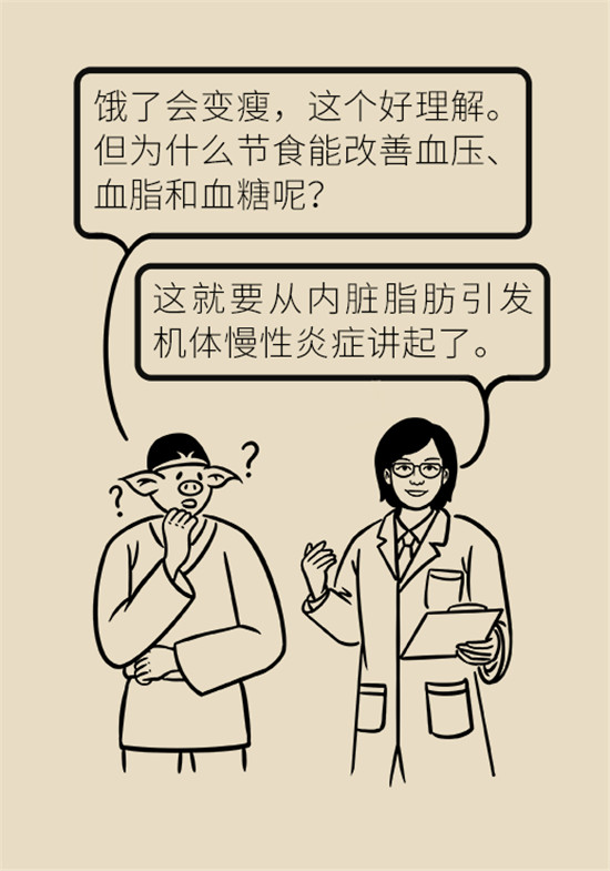 減肥醫(yī)學(xué)科普動(dòng)漫制作