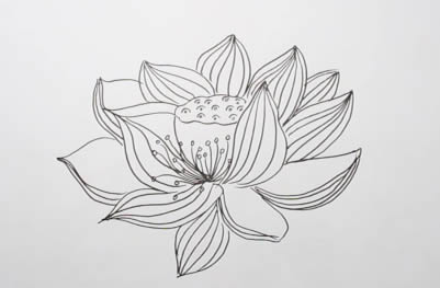 荷花簡(jiǎn)筆畫(huà)簡(jiǎn)單又好看 畫(huà)法