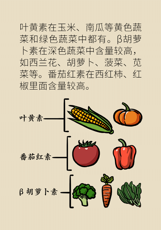 剩菜醫(yī)學(xué)知識科普動(dòng)漫制作