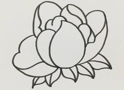 芍藥花四.jpg