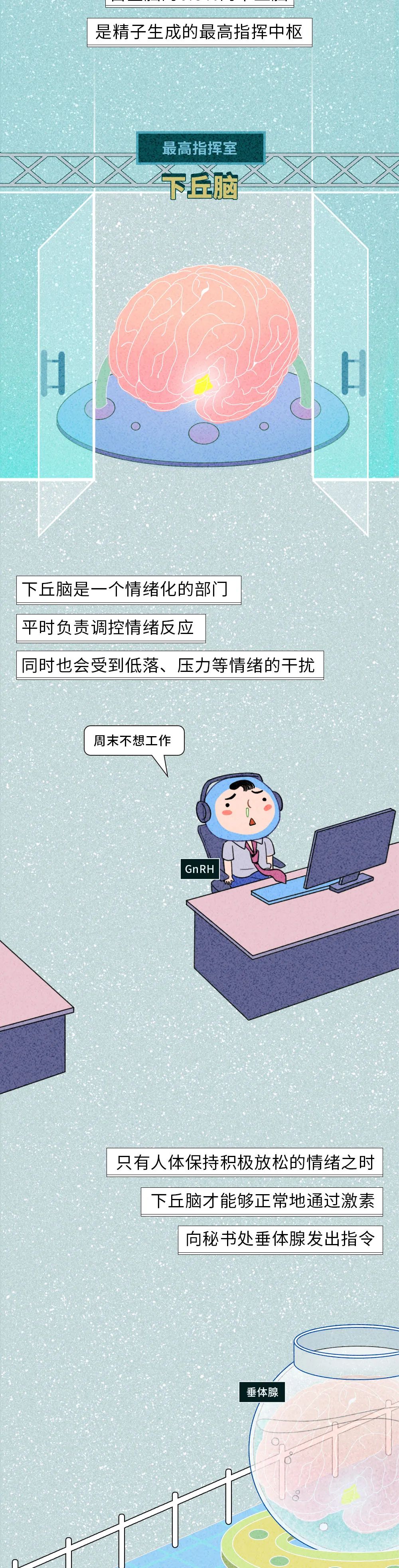 生殖醫(yī)學(xué)知識(shí)科普動(dòng)漫