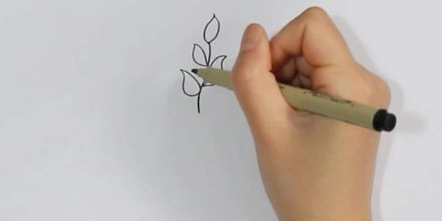 茶樹怎么畫簡(jiǎn)單又漂亮,茶樹簡(jiǎn)筆畫彩色畫法