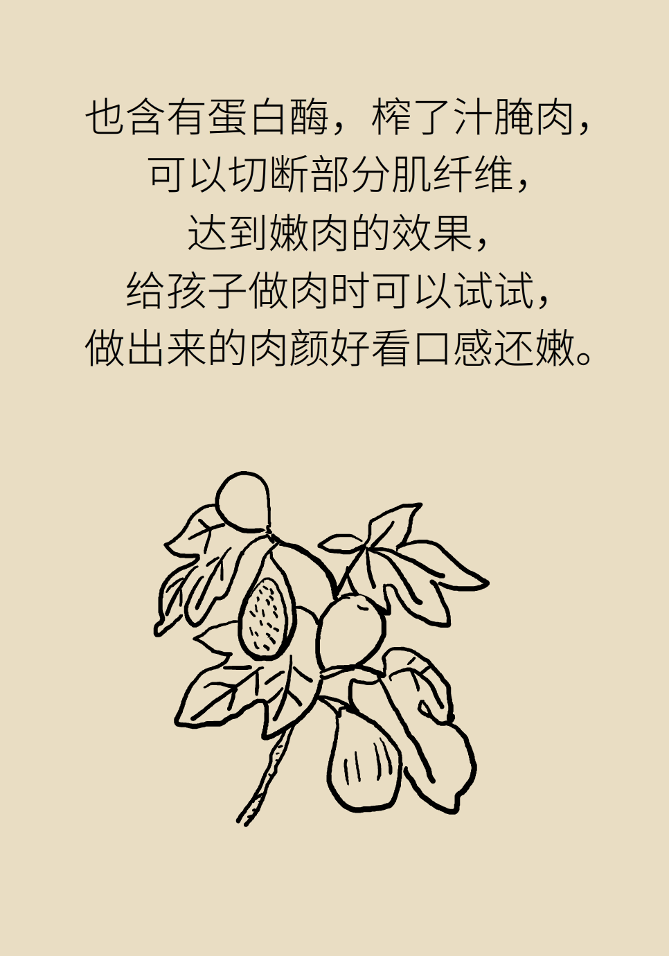 水果動(dòng)畫片