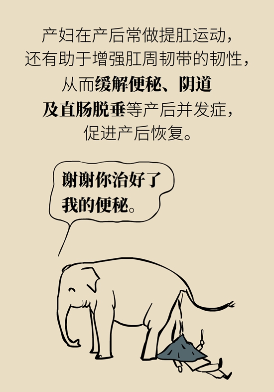 怎么做可以預防痔瘡呢？按摩前列腺、鍛煉盆底肌