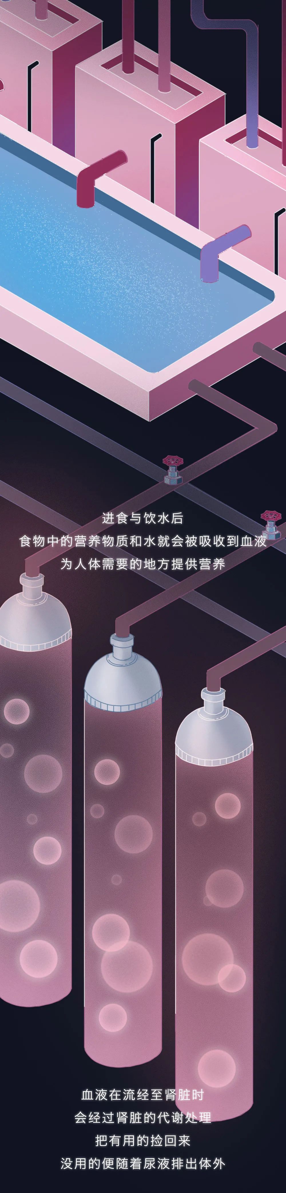 腎醫(yī)學知識科普：腎被透支的全過程