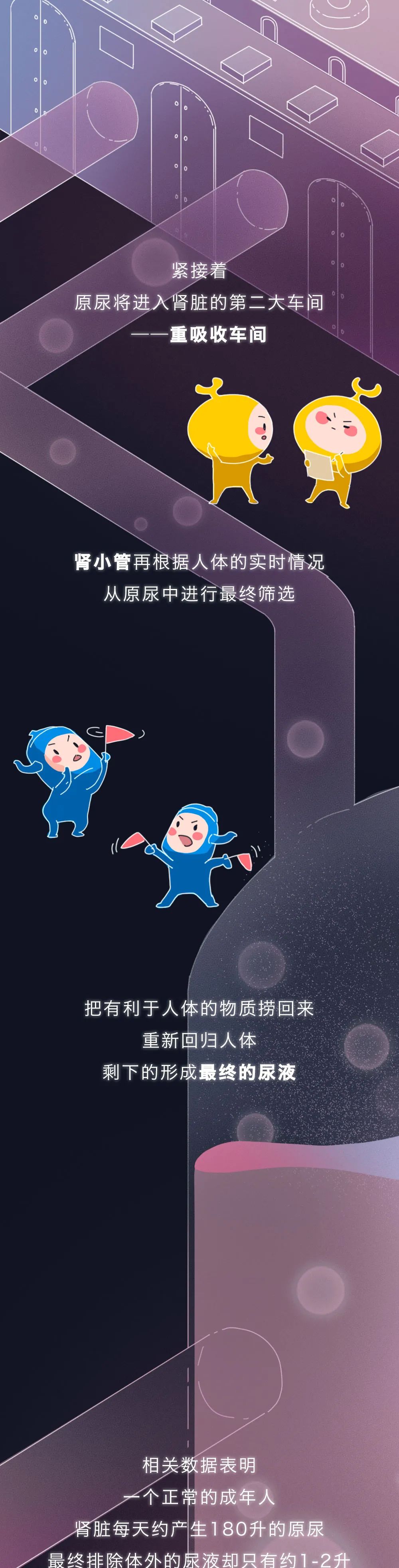 腎醫(yī)學知識科普：腎被透支的全過程