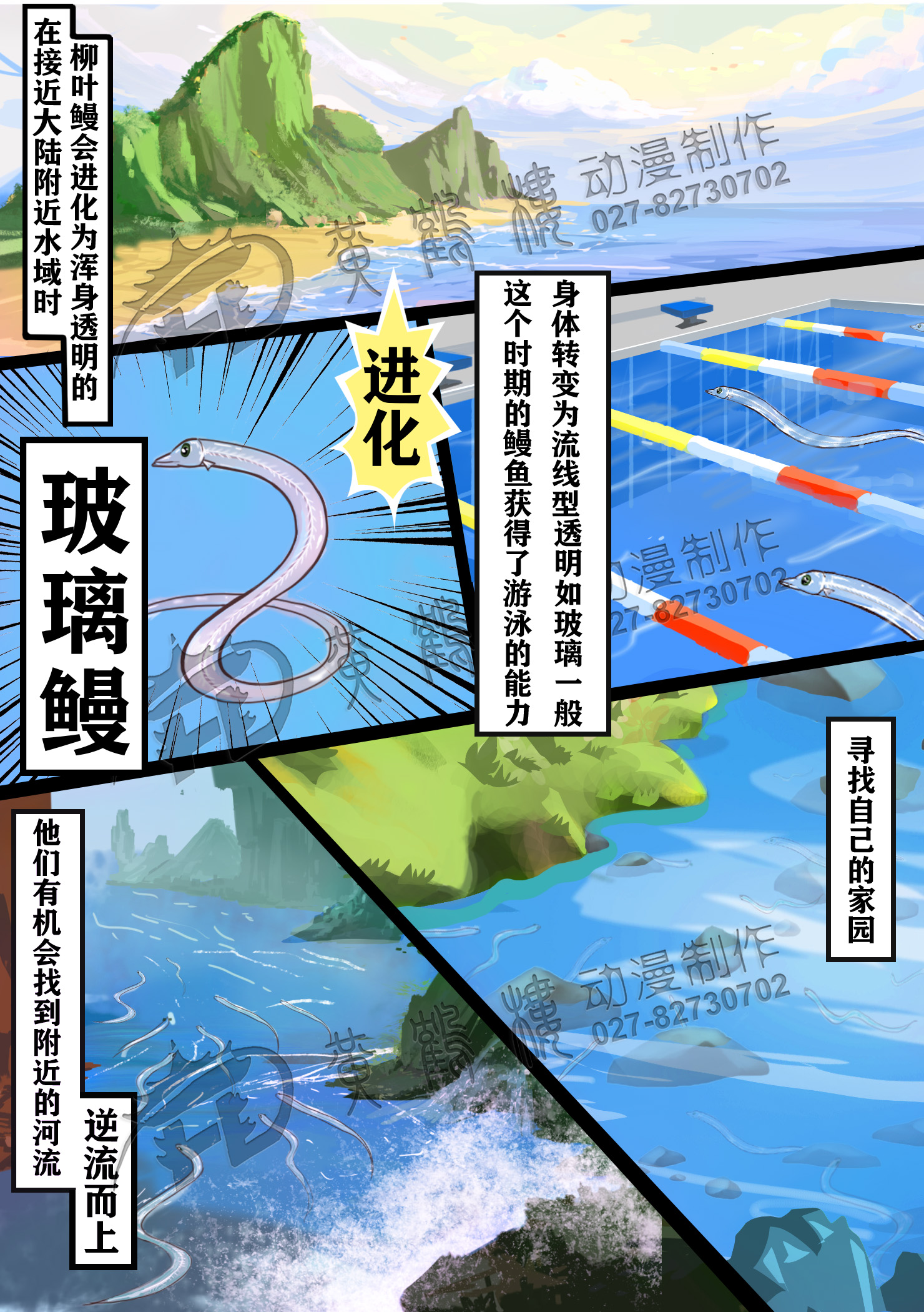 柳葉鰻期(Leptocephalus).jpg 柳葉鰻期(Leptocephalus).jpg
