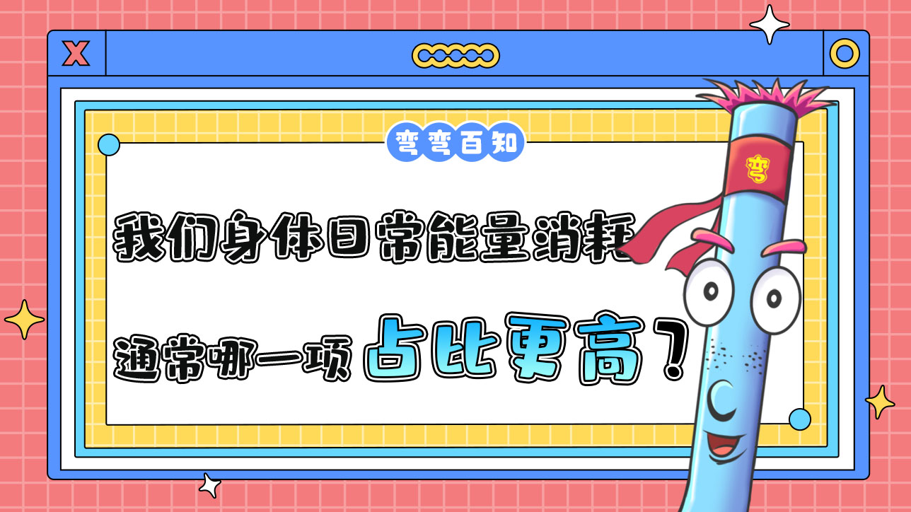 我們?nèi)粘Ｄ芰肯耐ǔＤ囊豁?xiàng)占比更高呢？.jpg