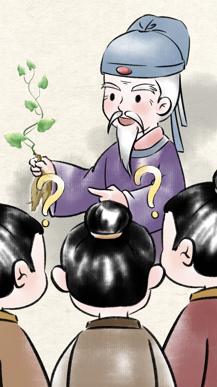 《遍問(wèn)眾人，沒(méi)有一人能夠認(rèn)得這是什么植物！》線稿上色.jpg