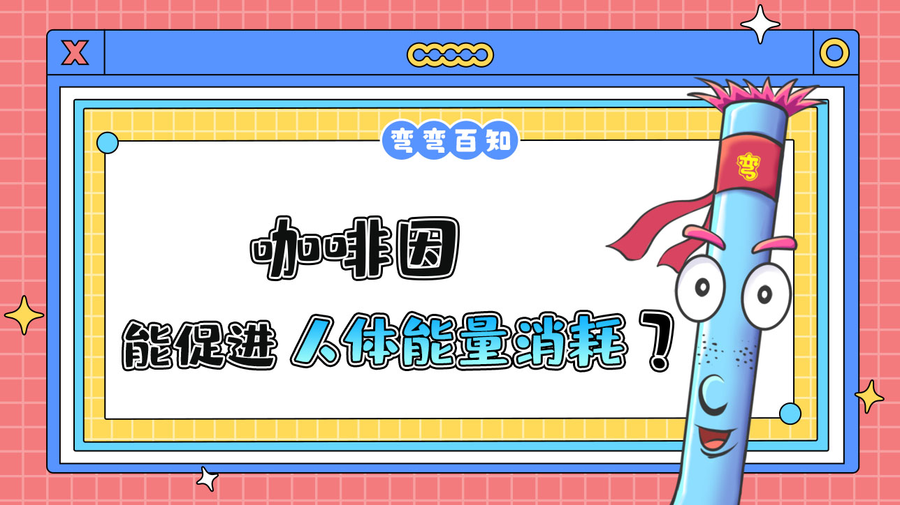 咖啡因能促進人體的能量消耗嗎？.jpg
