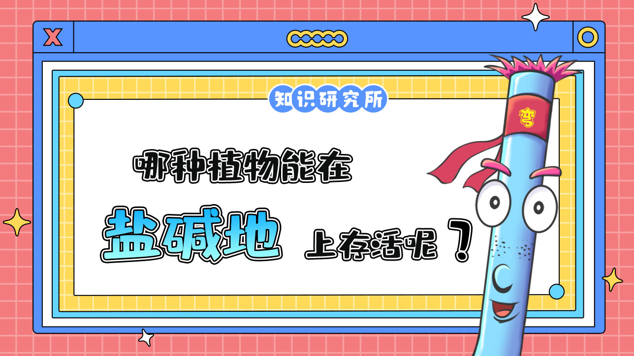 哪種植物能在鹽堿地上存活呢？.jpg